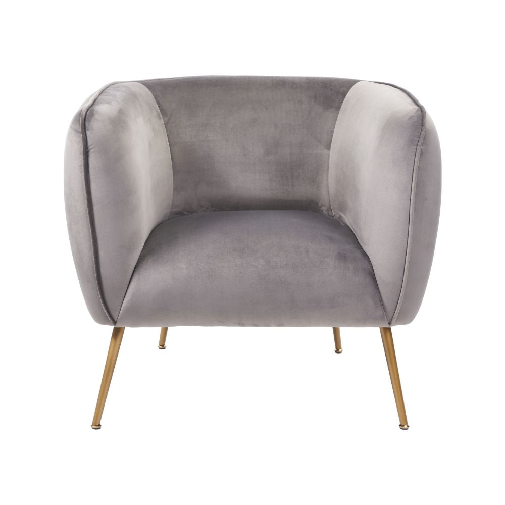 Lucca Velvet and Metal Armchair