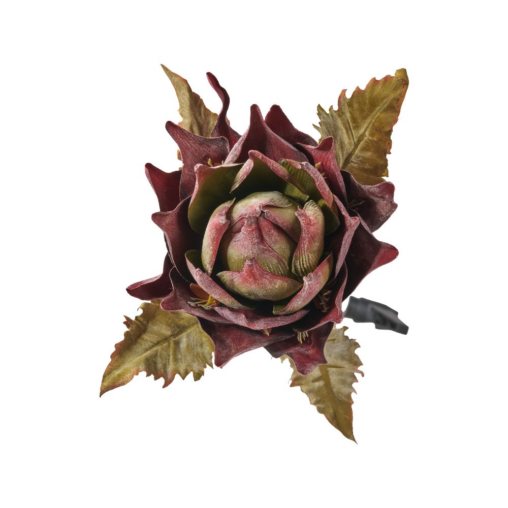 Mulberry Brown Dried Flower Bunch