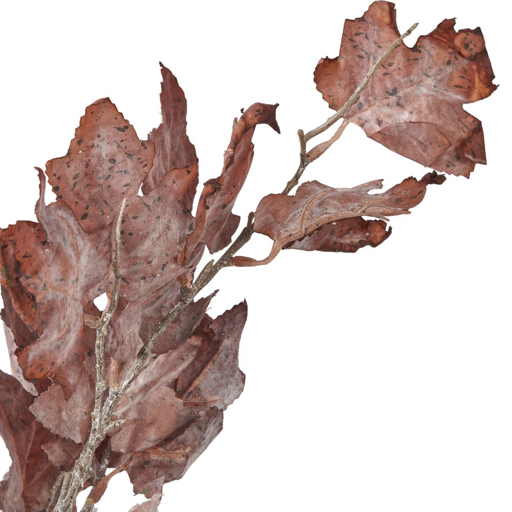 Mulberry Brown Maple Leaf Pack of 6