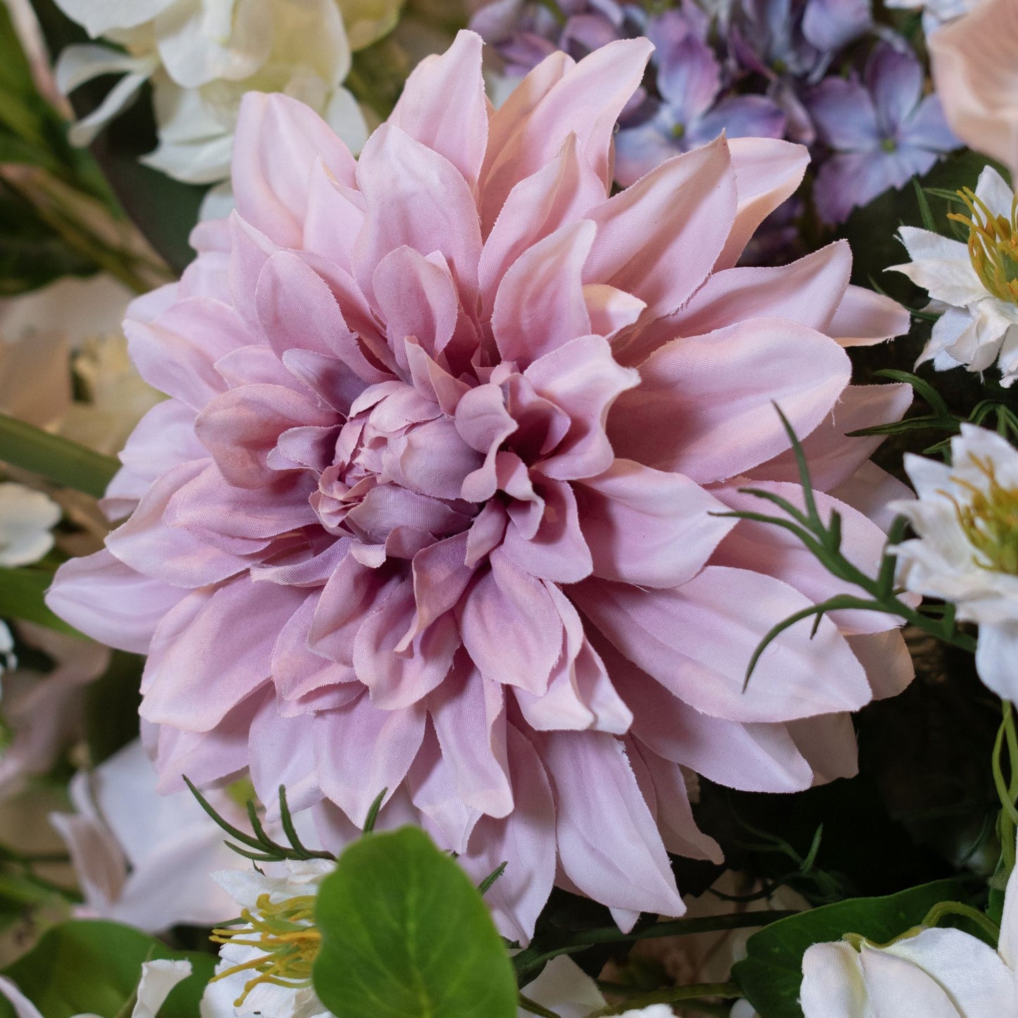 The Natural Garden Pink Dahlia