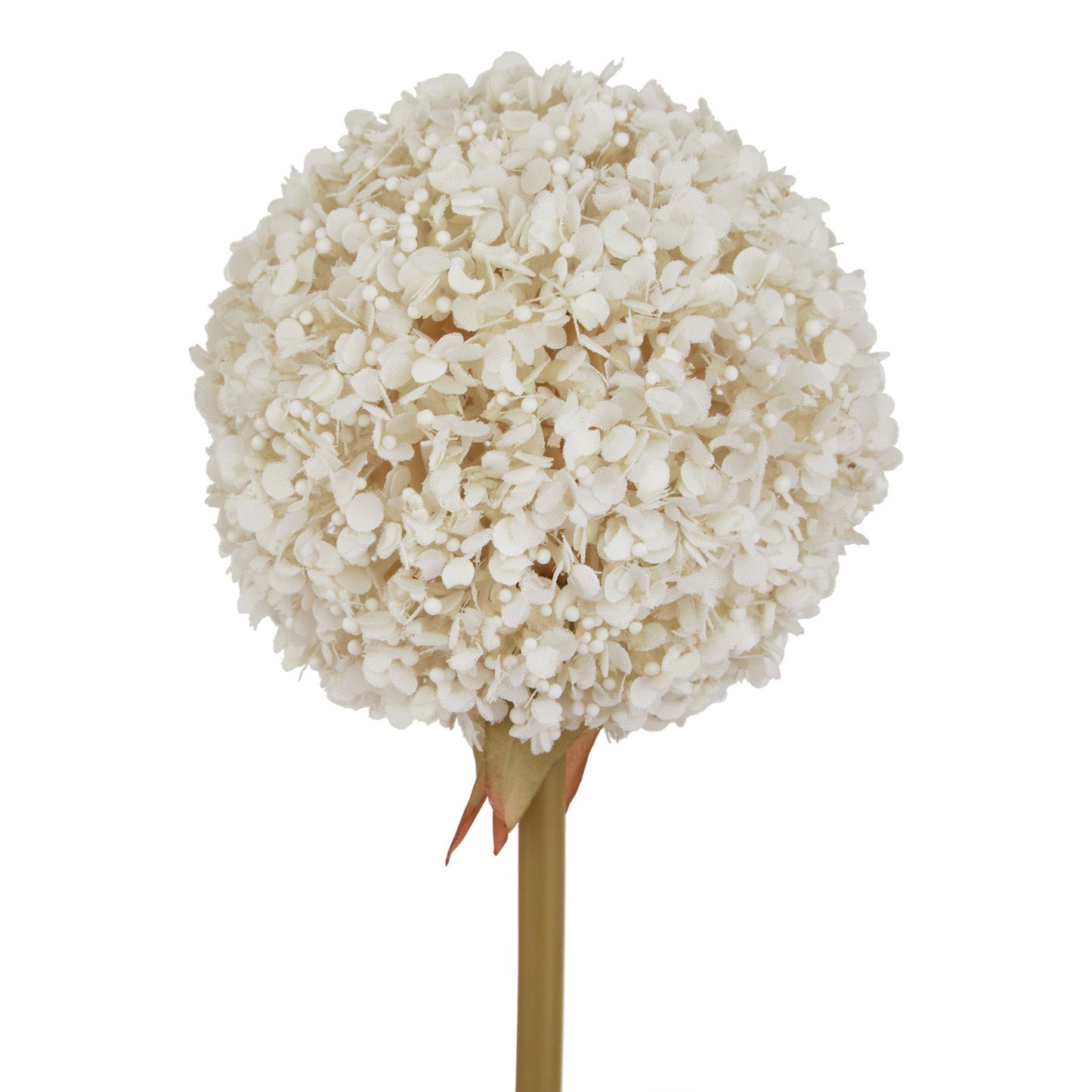 The Natural Garden White Allium