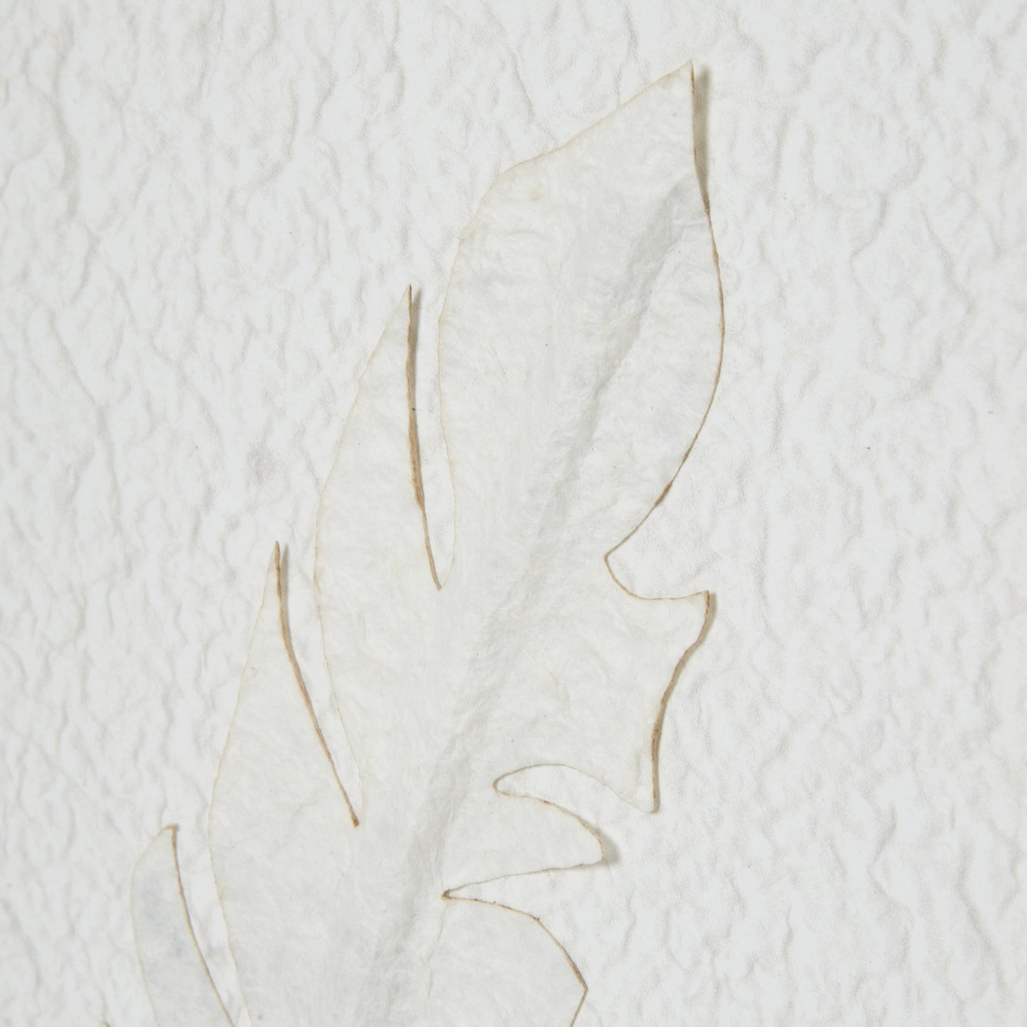 Solli White Feathers Framed Canvas Wall Art