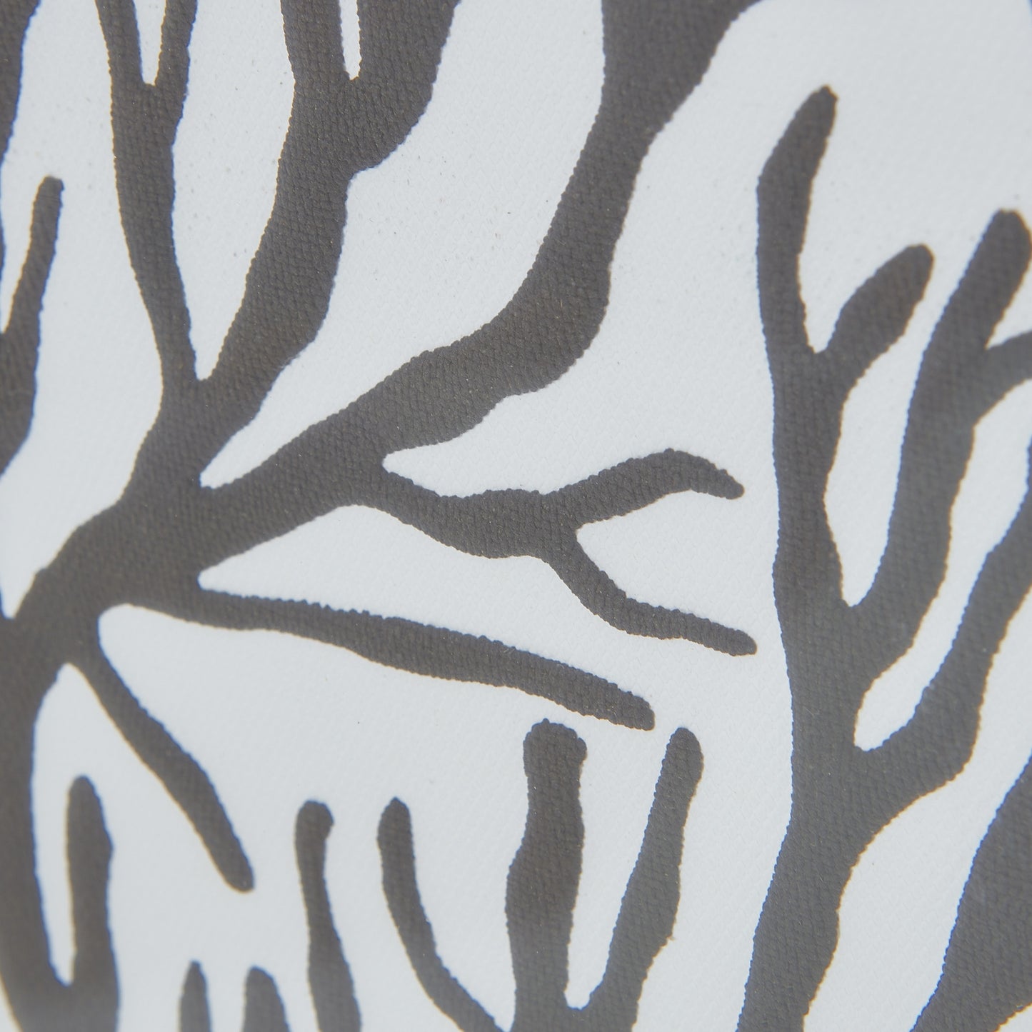 Atol Coral Art Mounted In Beaded Frame Wall Art