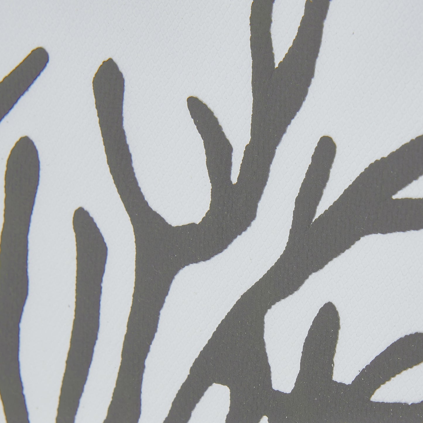 Reef Coral Mounted In Beaded Frame Wall Art