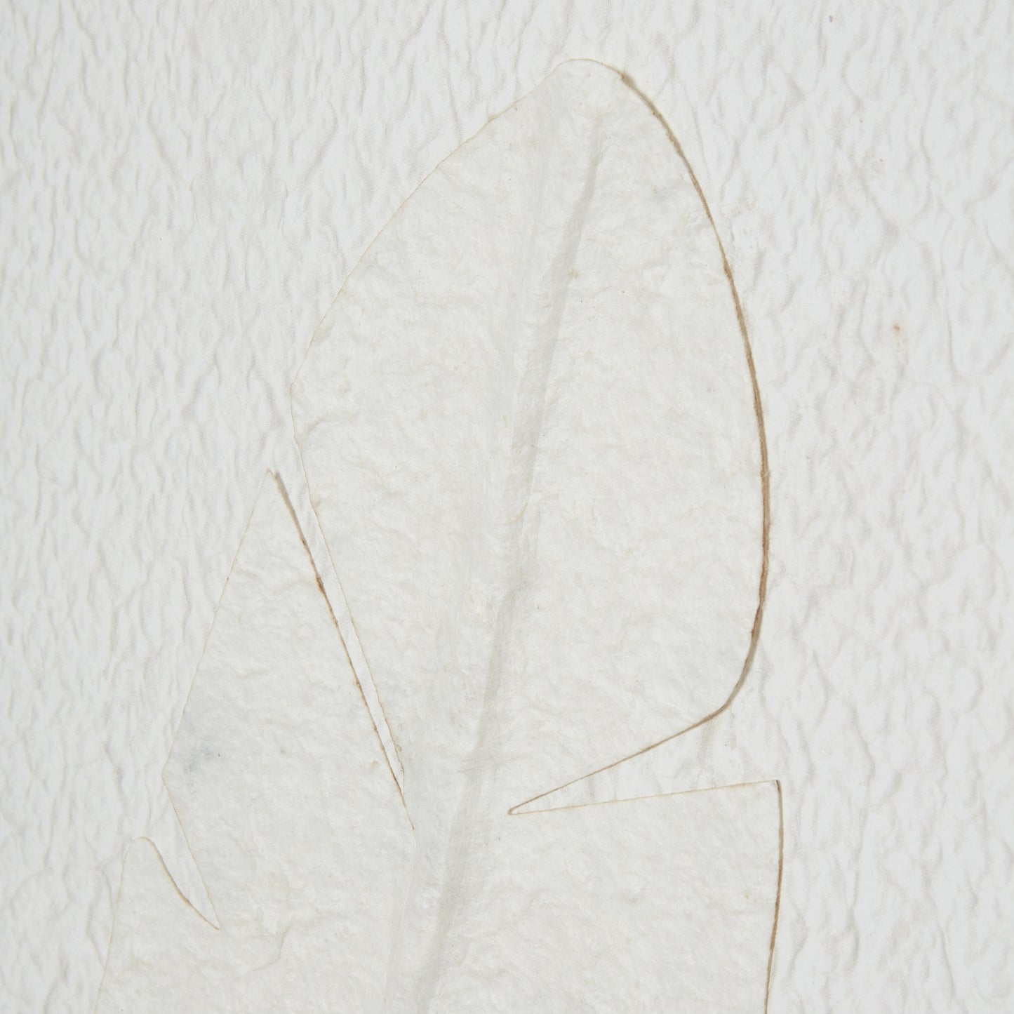 Quill White Feather Large Framed Wall Art