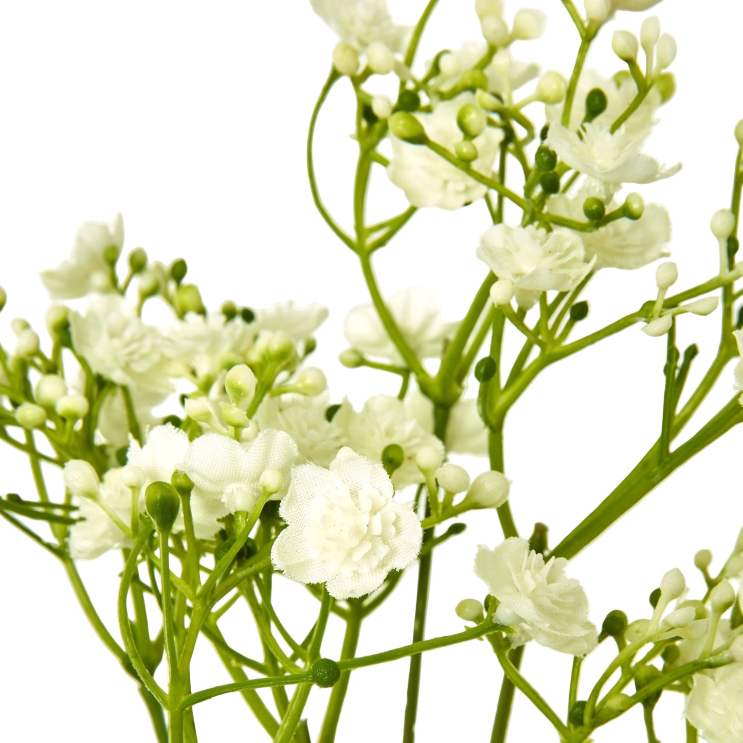 Cream Gypsophila Stem