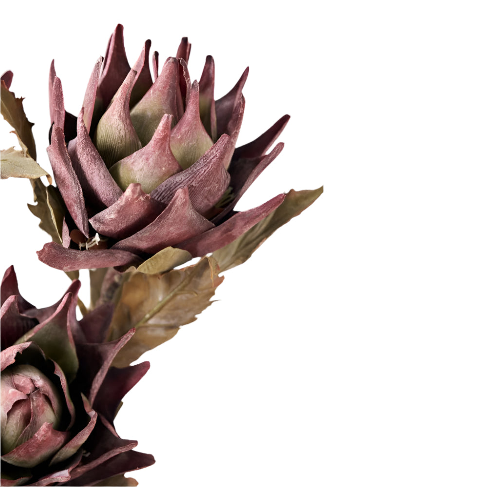 Mulberry Lotus Pack of 6