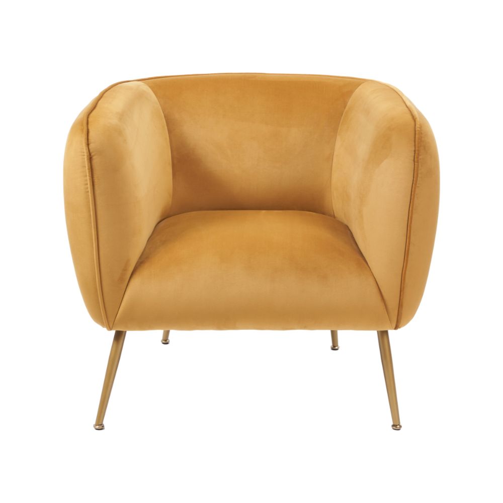 Lucca Velvet and Metal Armchair