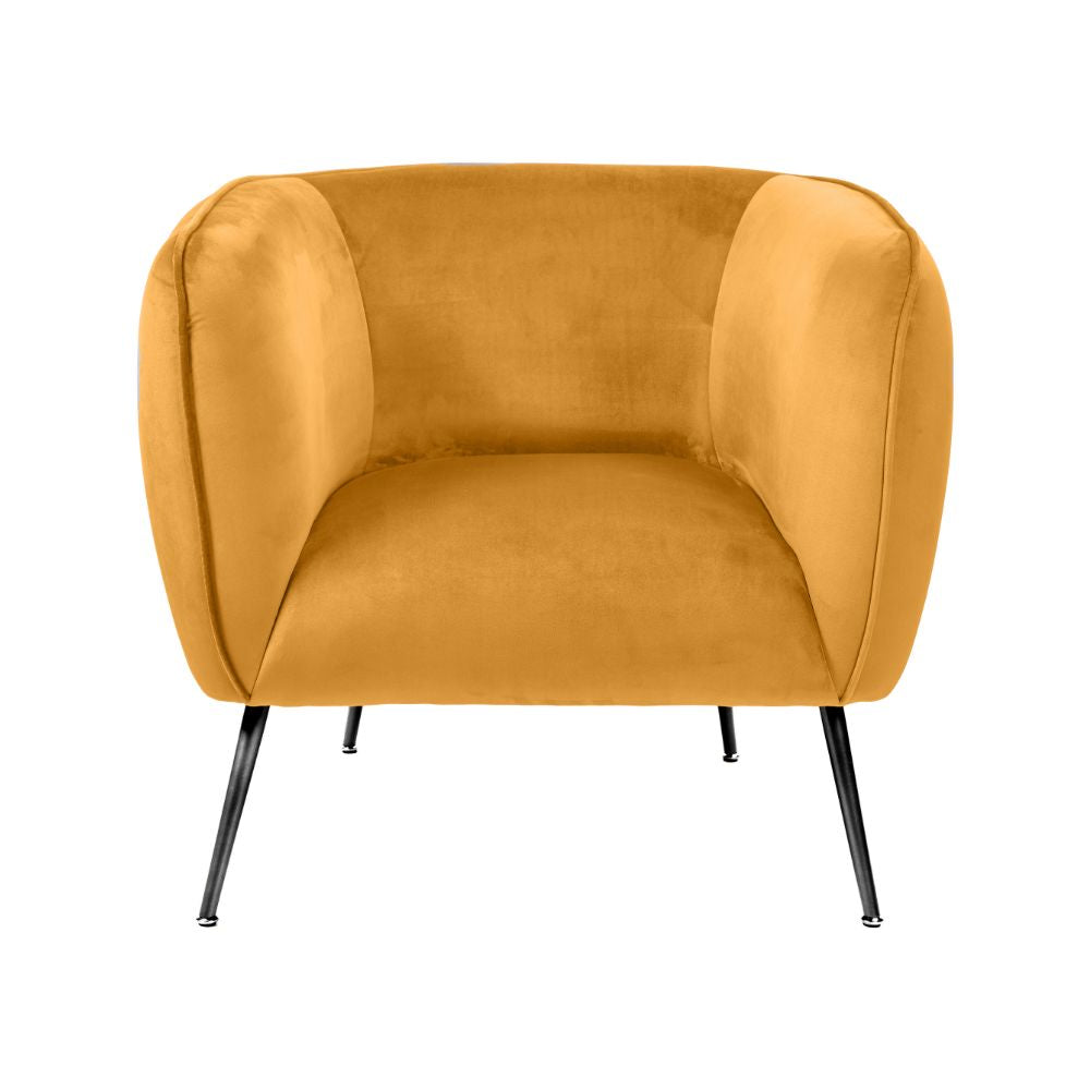 Lucca Velvet and Metal Armchair