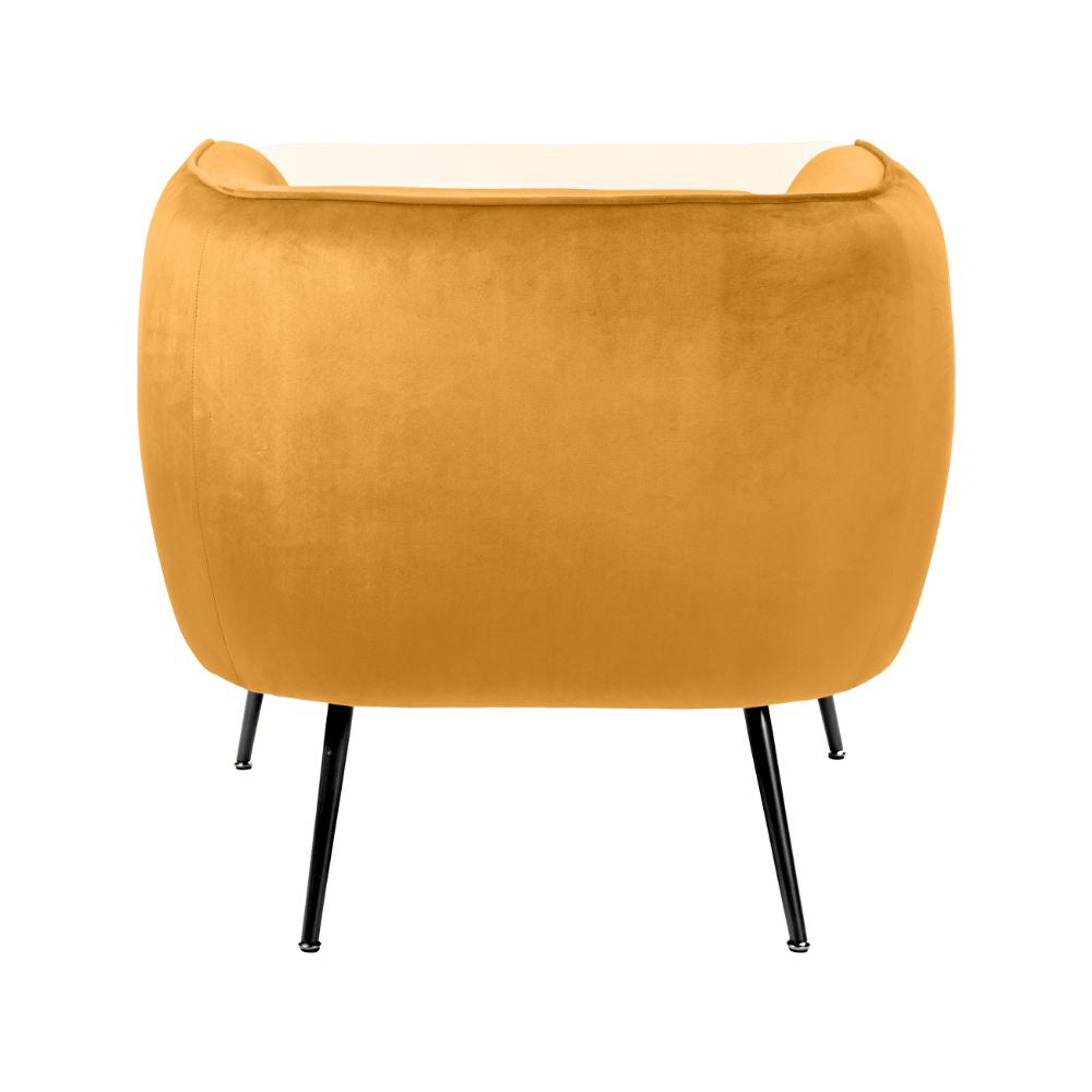 Lucca Velvet and Metal Armchair