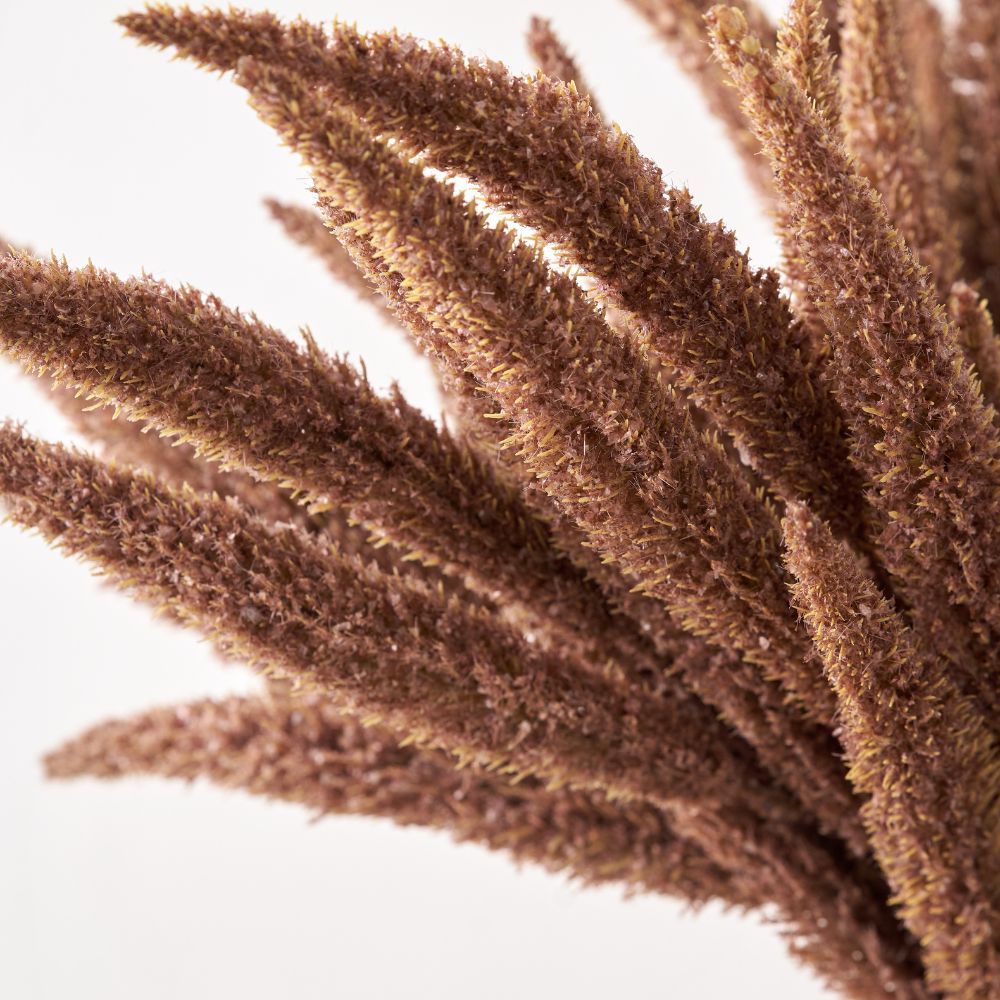 Mulberry Brown Foxtail Hand-Tied 3 Stem Bundle Pack of 6