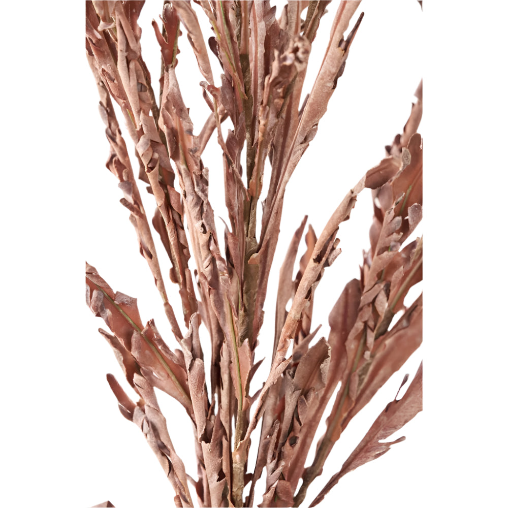 Mulberry Brown Autumn Leaf Pack of 6