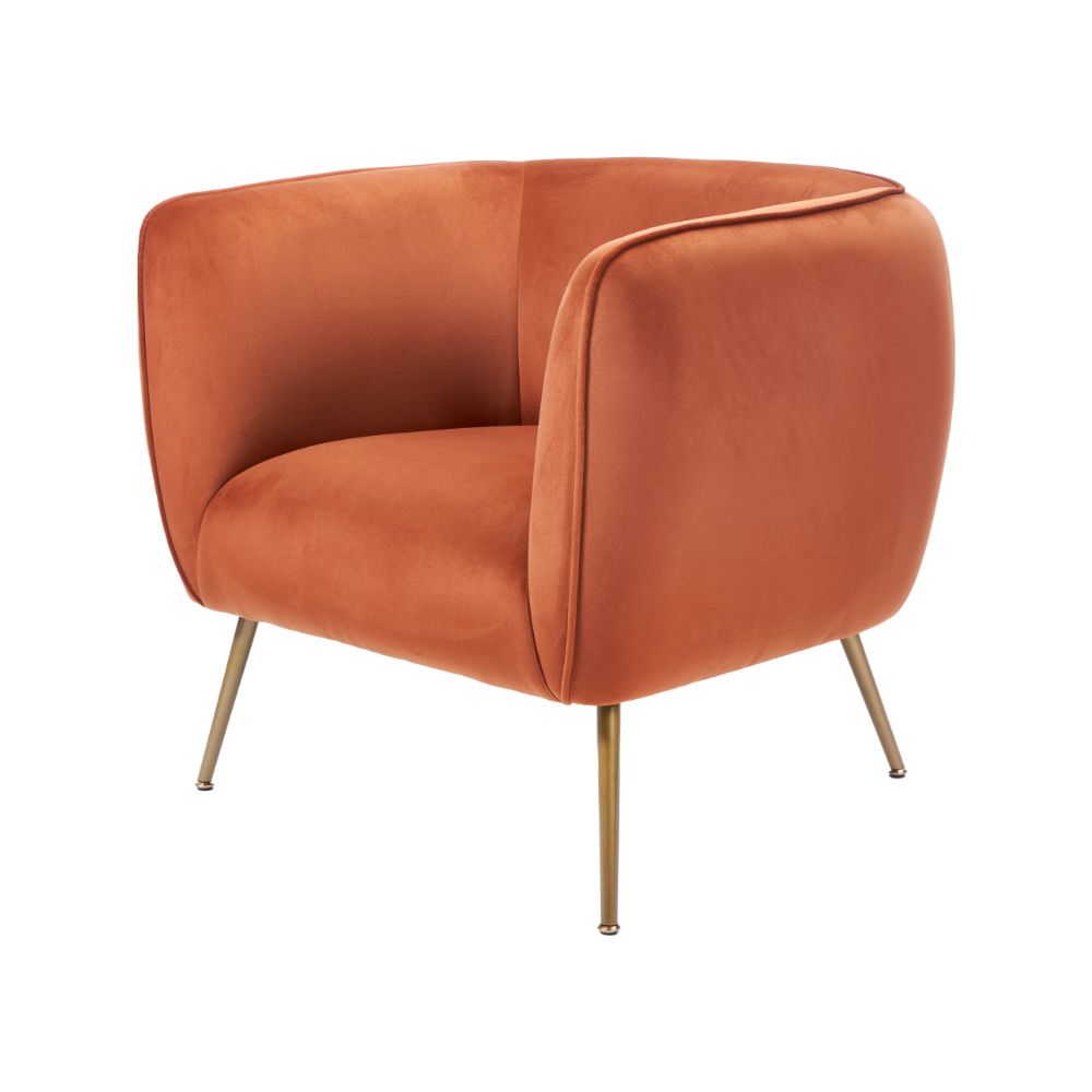 Lucca Velvet and Metal Armchair