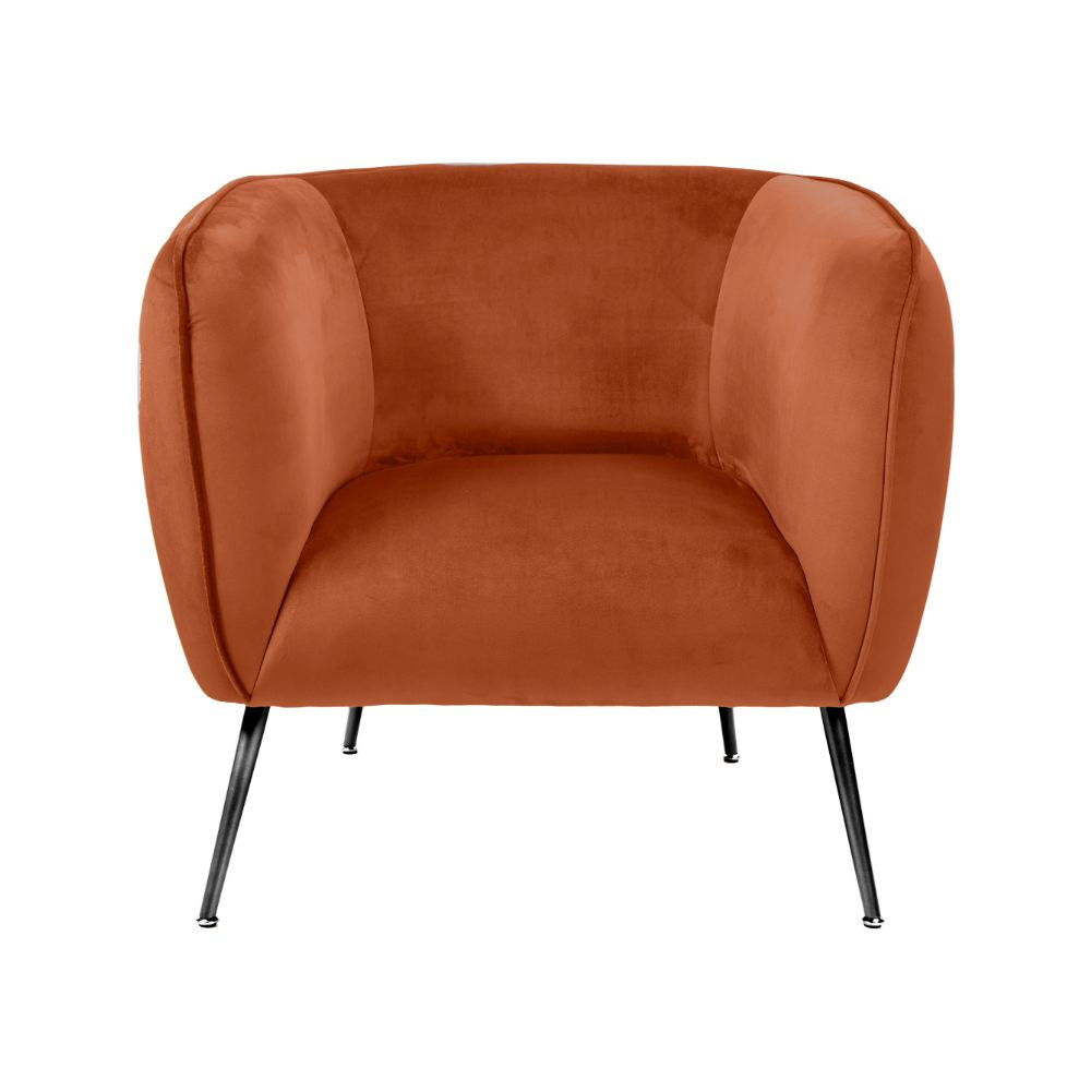 Lucca Velvet and Metal Armchair
