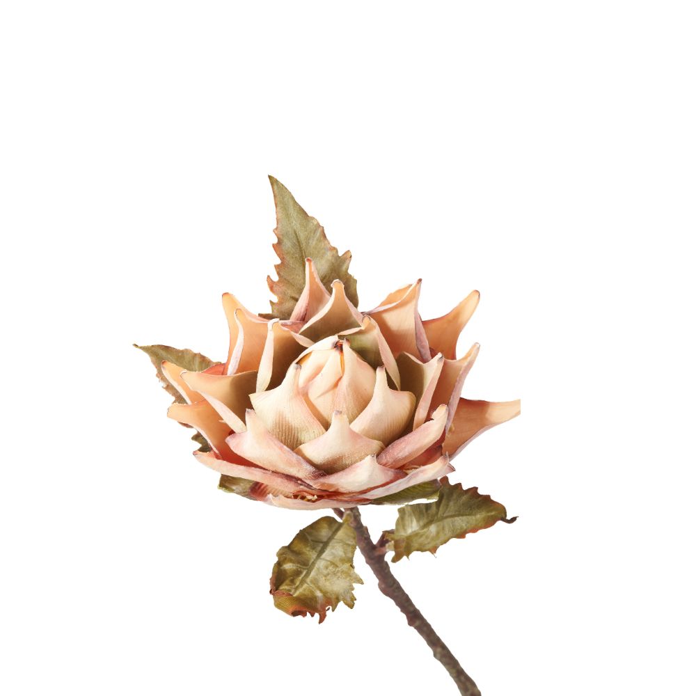 Natural Apricot Dried Flower Bunch