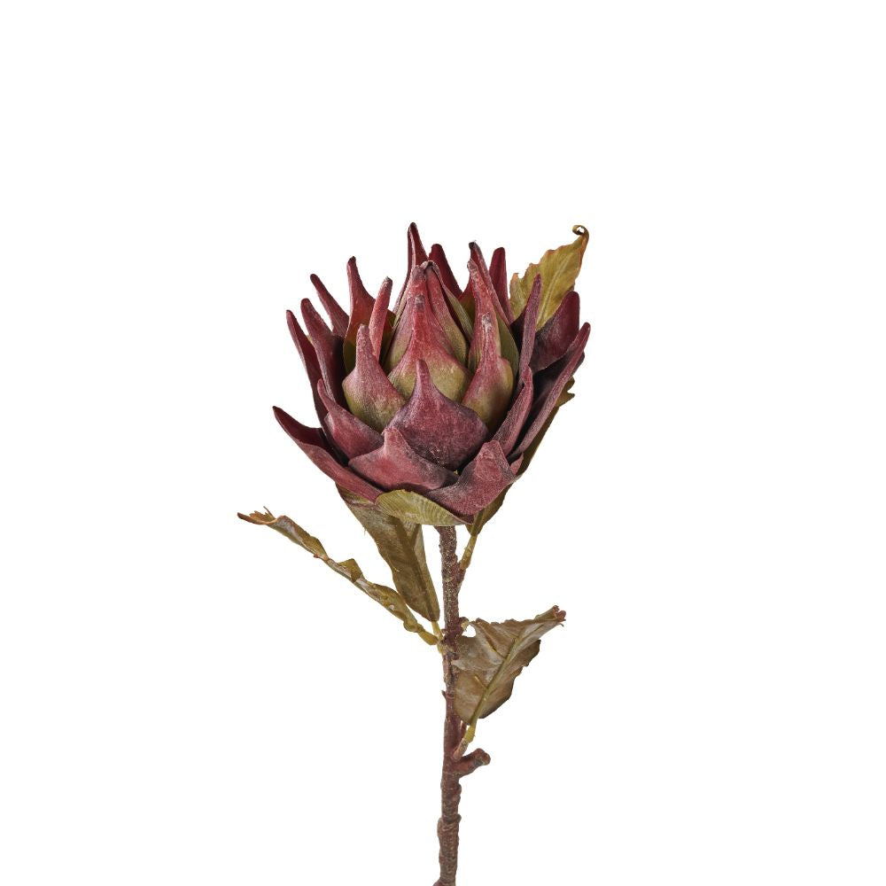 Mulberry Lotus Pack of 6