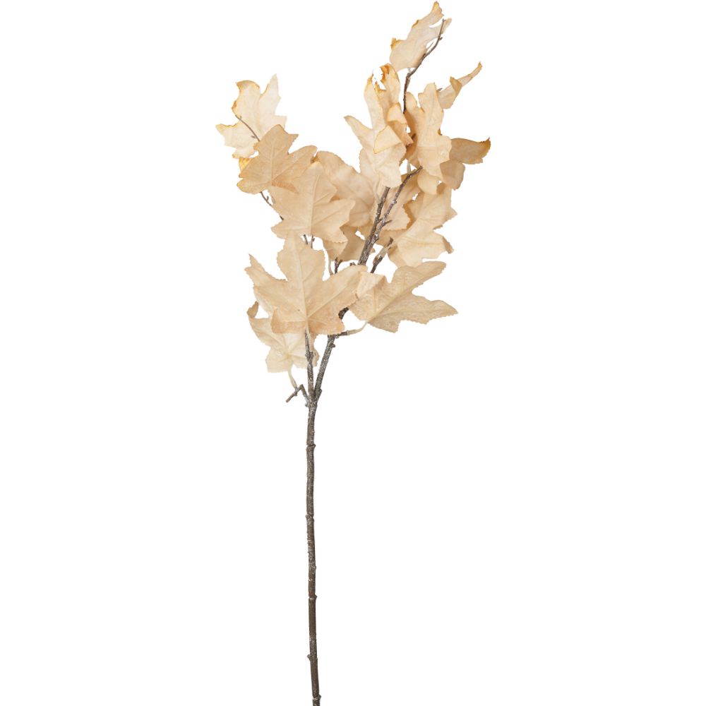 Natural Apricot Dried Flower Bunch