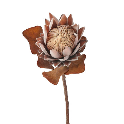 Mulberry Brown Dried Flower Bunch