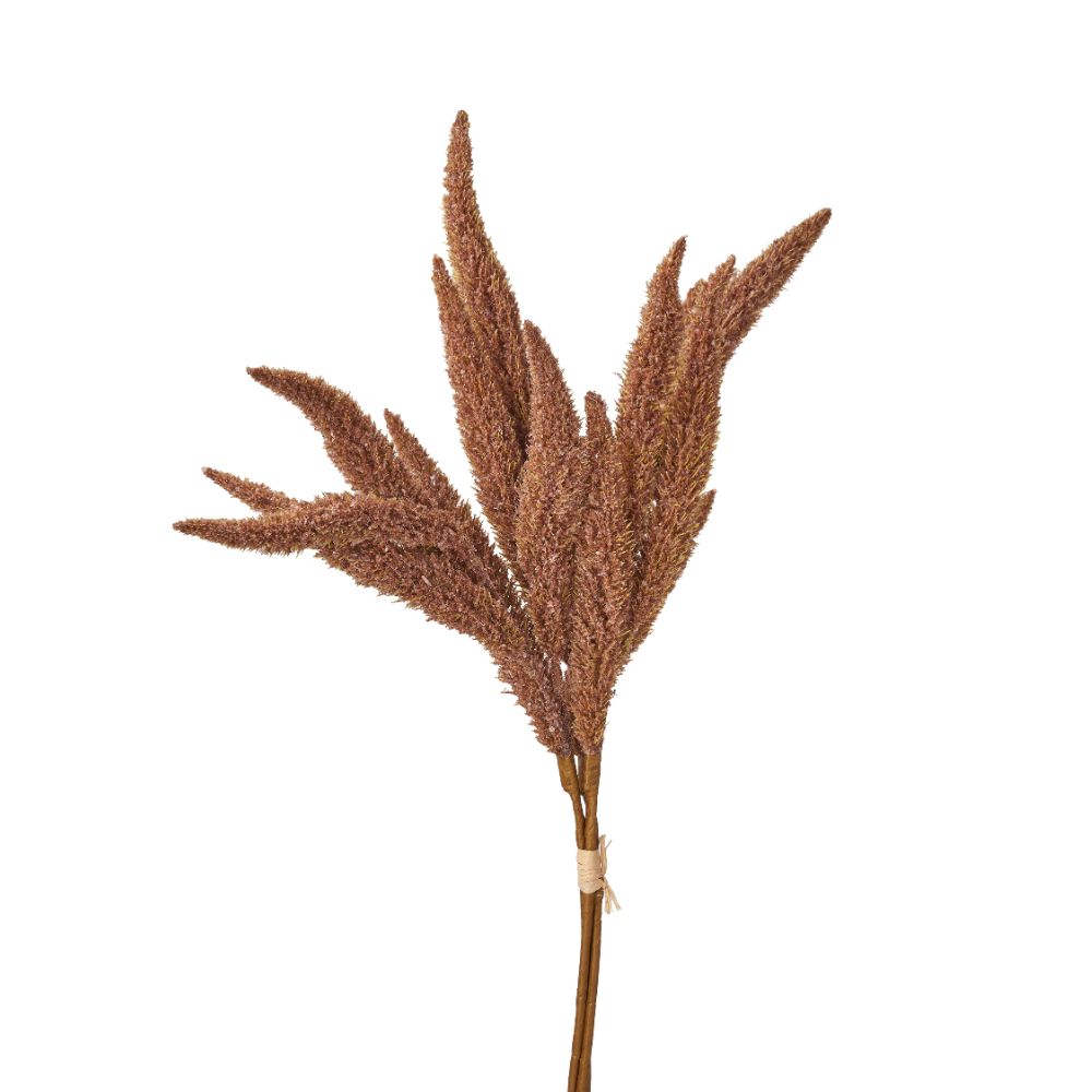Mulberry Brown Dried Flower Bunch