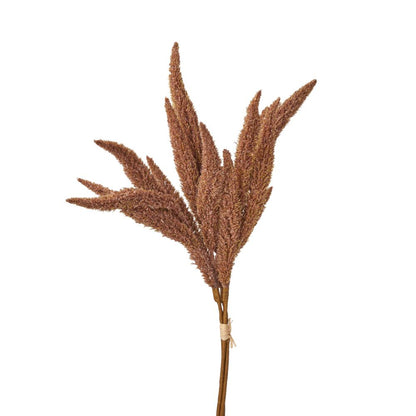 Mulberry Brown Dried Flower Bunch
