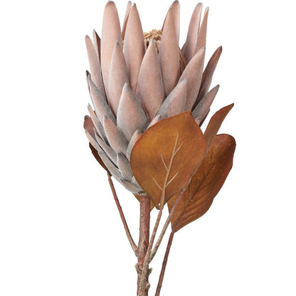 Mulberry Brown Dried Flower Bunch