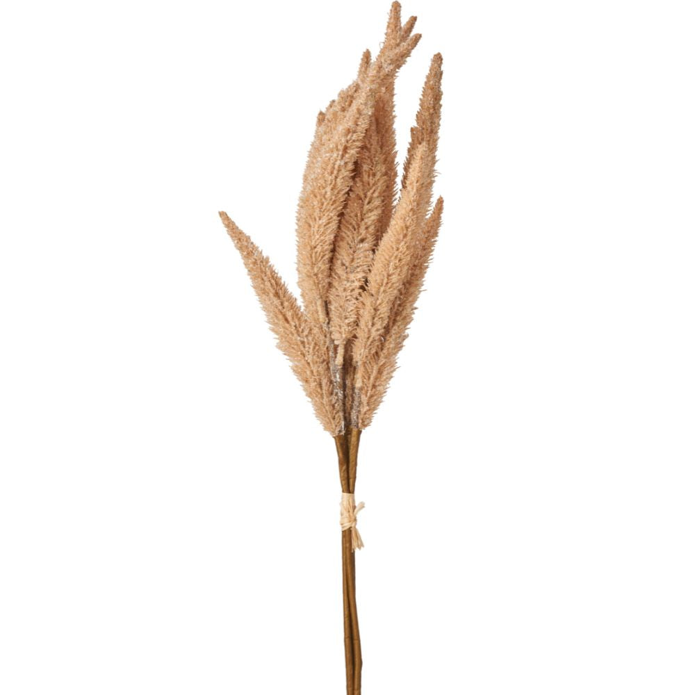Natural Apricot Dried Flower Bunch