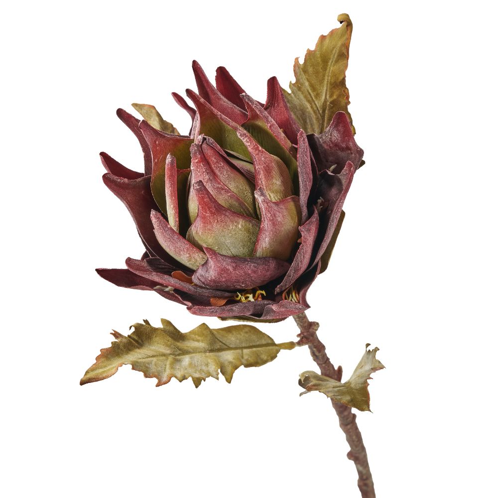 Mulberry Brown Dried Flower Bunch