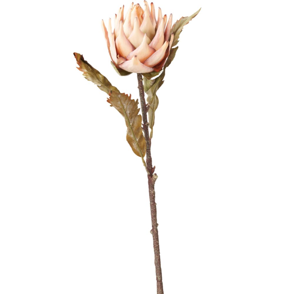 Natural Apricot Dried Flower Bunch