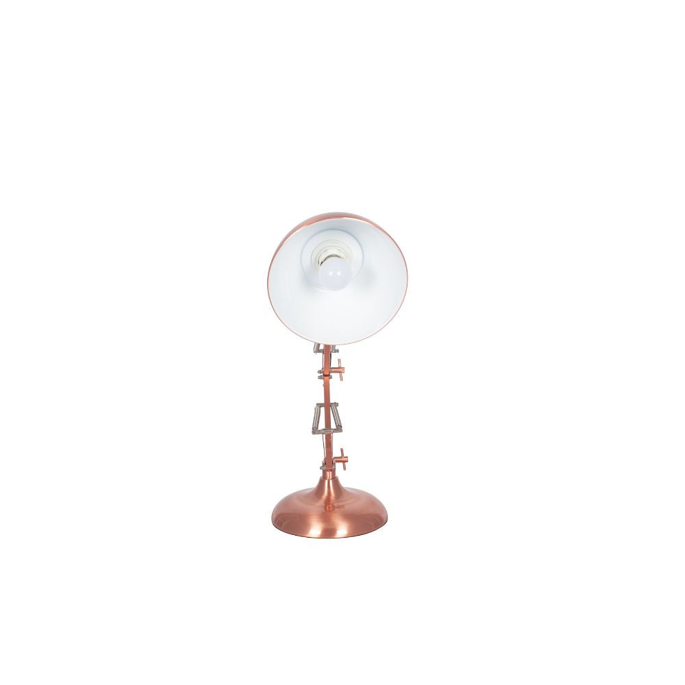 Alonzo Metal Angled Task Table Lamp