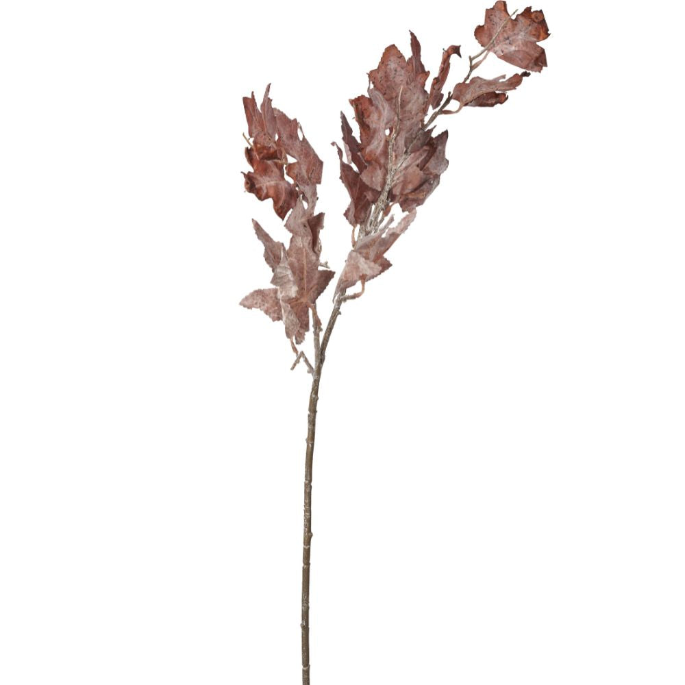 Mulberry Brown Dried Flower Bunch