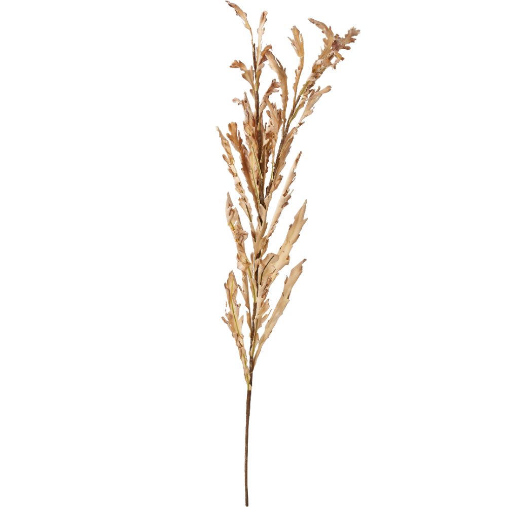 Natural Apricot Dried Flower Bunch