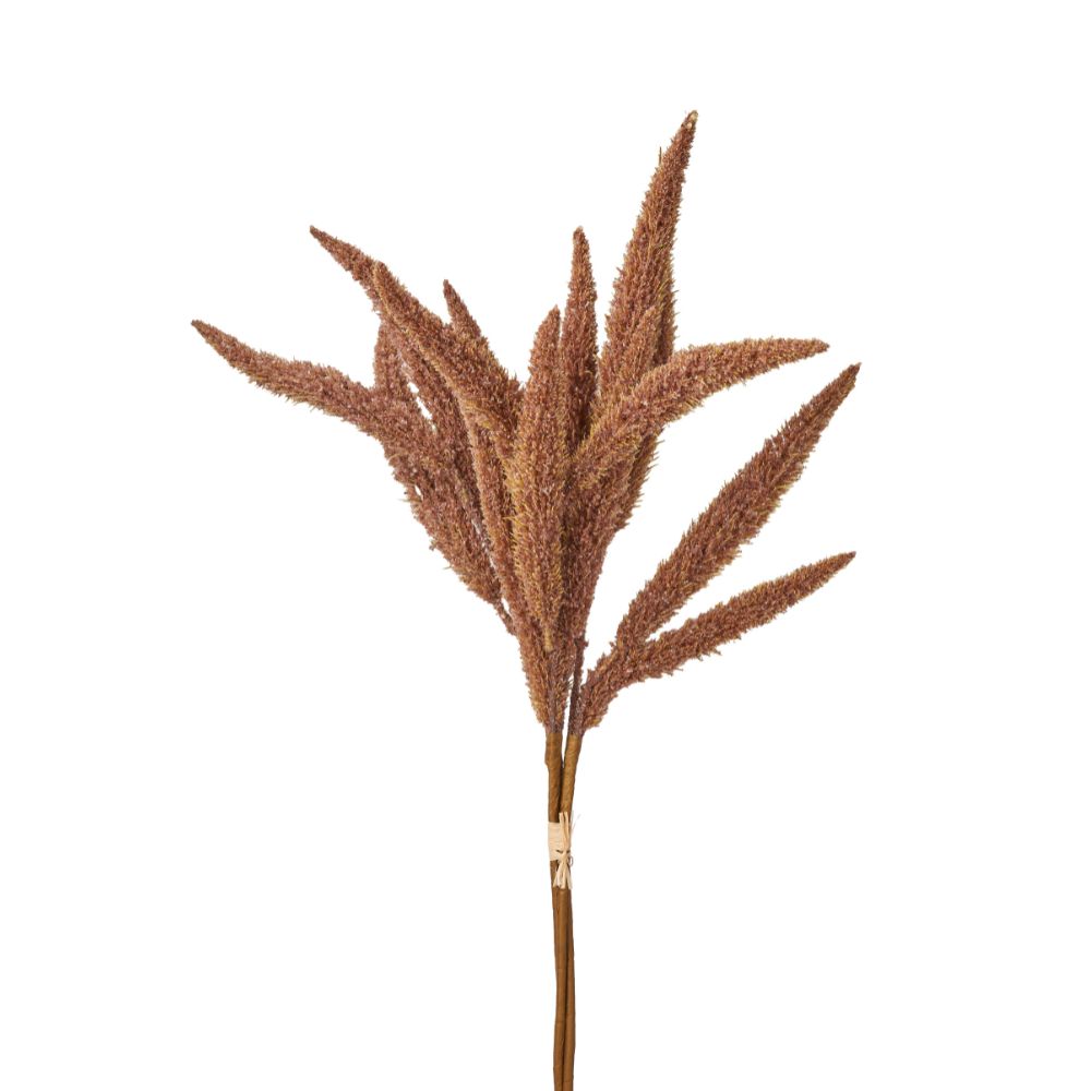 Mulberry Brown Dried Flower Bunch