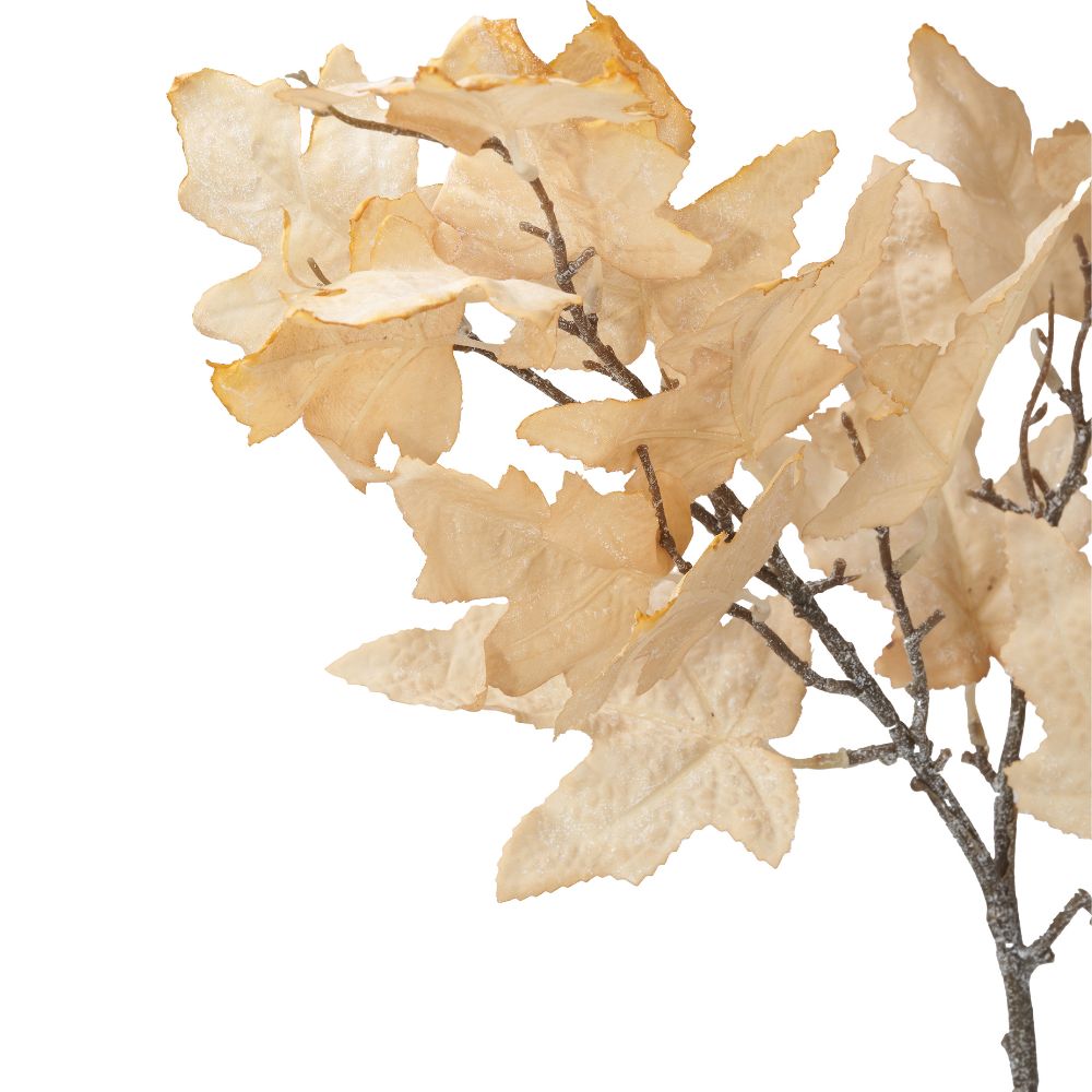 Natural Apricot Dried Flower Bunch