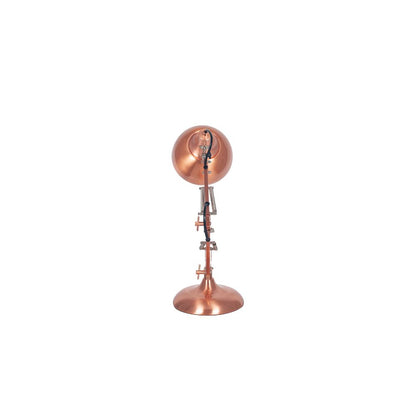 Alonzo Metal Angled Task Table Lamp