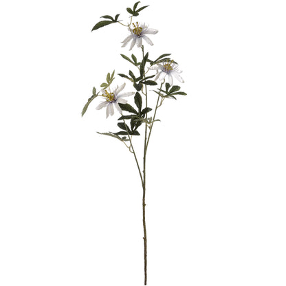 Passion Flower Spray