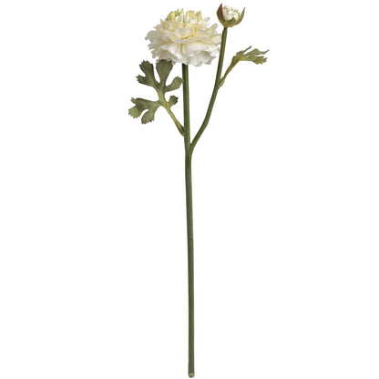 Green Ranunculus Spray