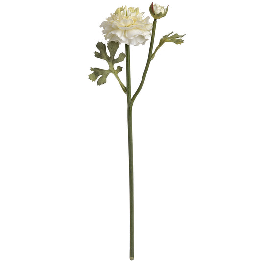Green Ranunculus Spray