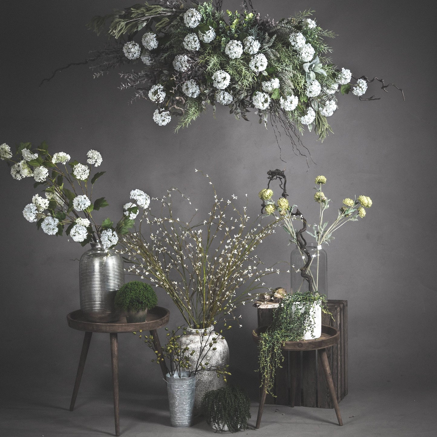 Viburnum Opulus