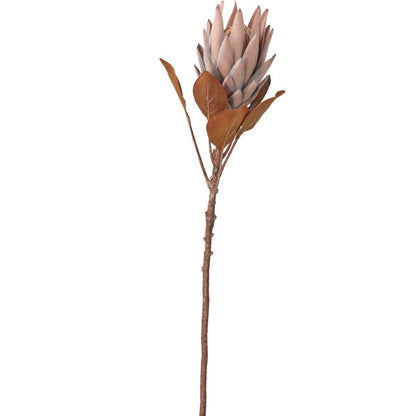 Mulberry Brown Dried Flower Bunch