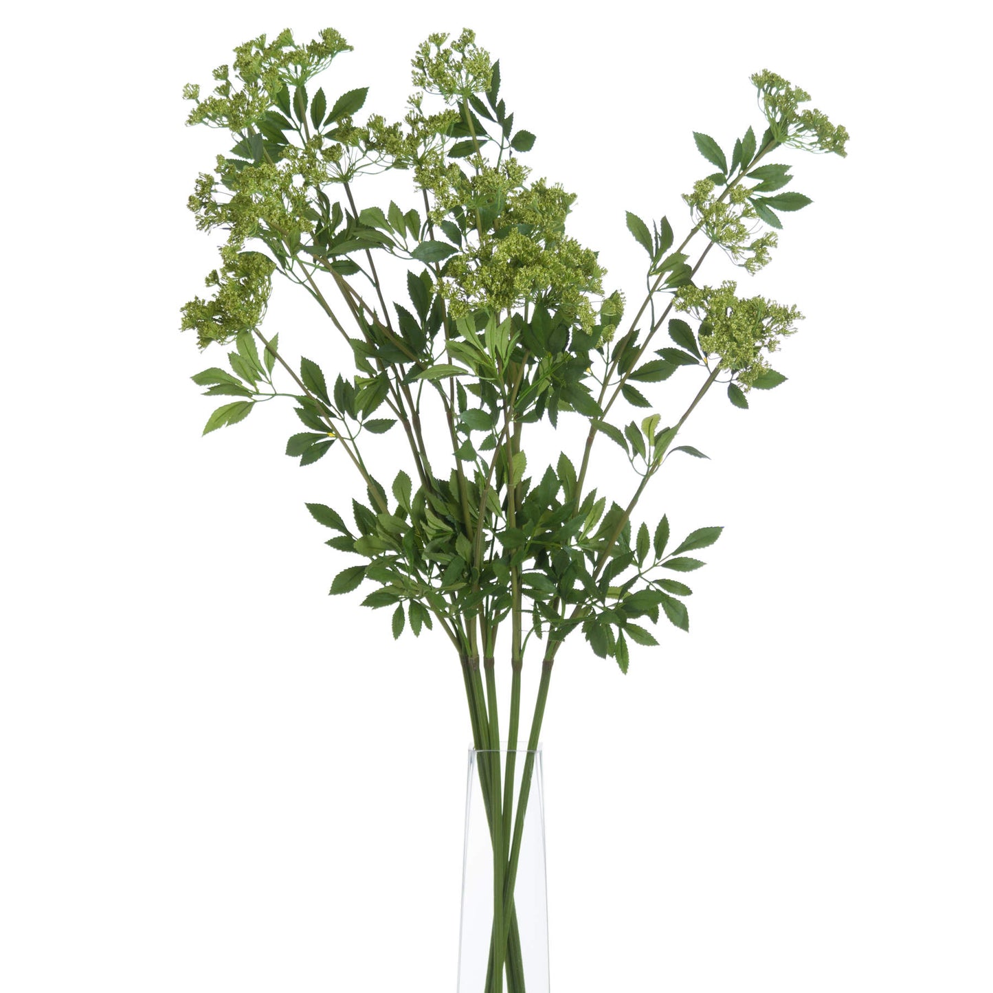 Shabby Green Single Hydrangea
