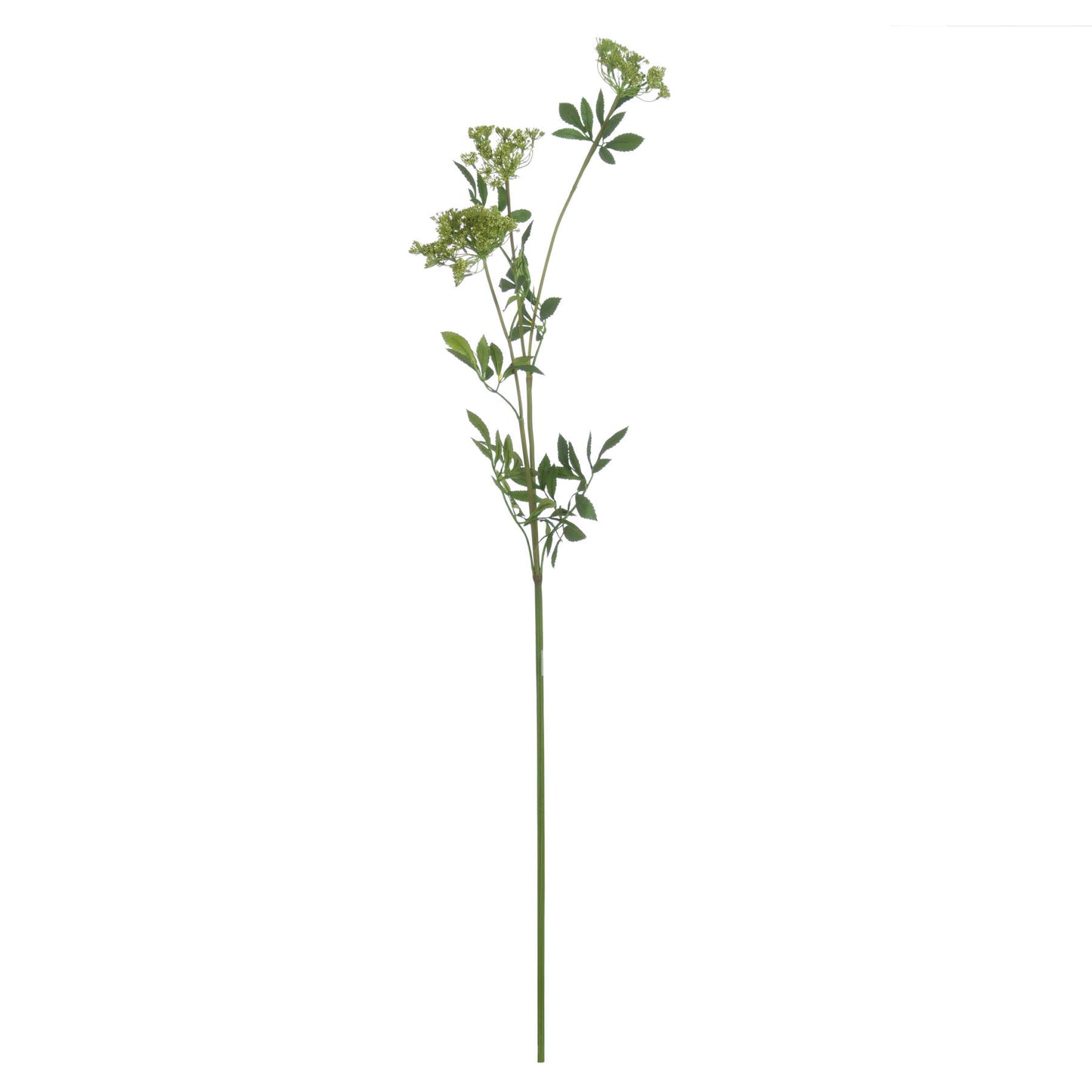 Shabby Green Single Hydrangea