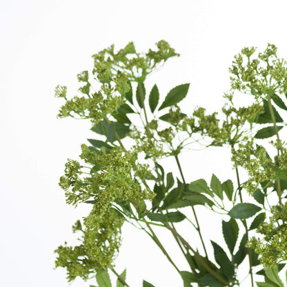 Shabby Green Single Hydrangea