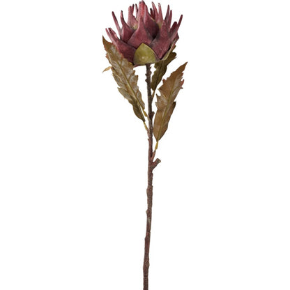 Mulberry Brown Dried Flower Bunch