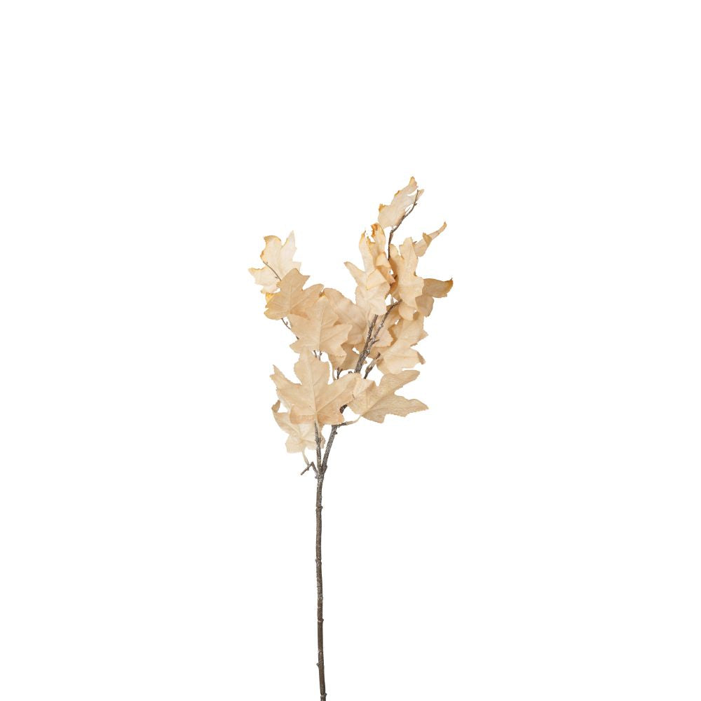 Natural Apricot Maple Leaf Pack of 6