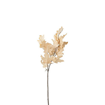Natural Apricot Maple Leaf Pack of 6