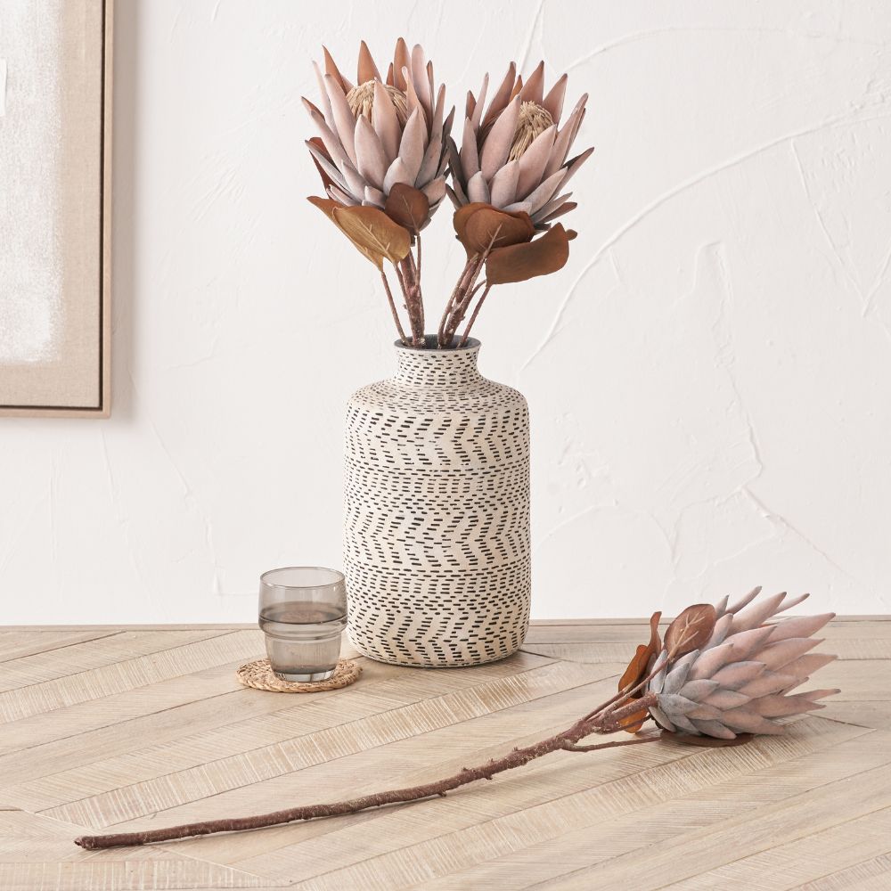 Mulberry Brown Protea Pack of 6