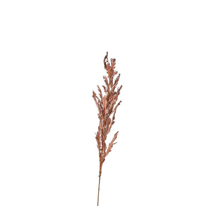 Mulberry Brown Autumn Leaf Pack of 6