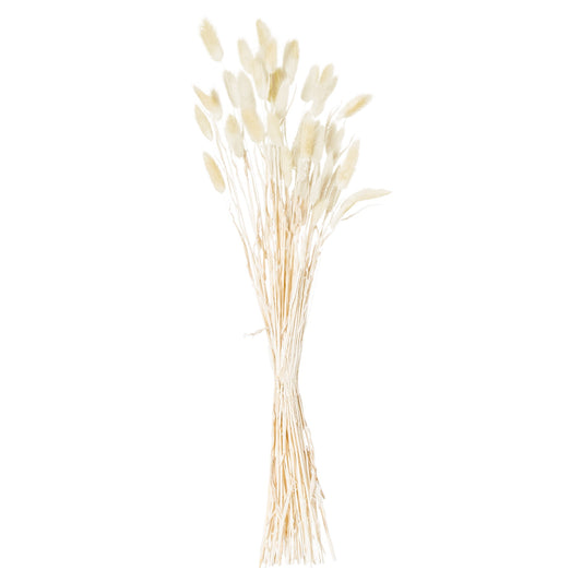 Dried Natural Bunny Tail Bunch of 40