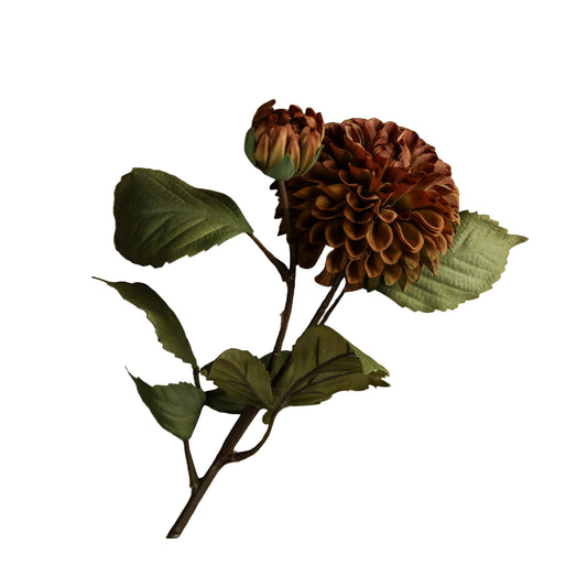 Deep Mustard Dahlia Stem