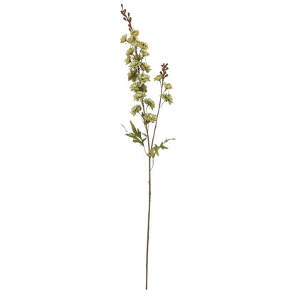 Tall Green Hops Stem